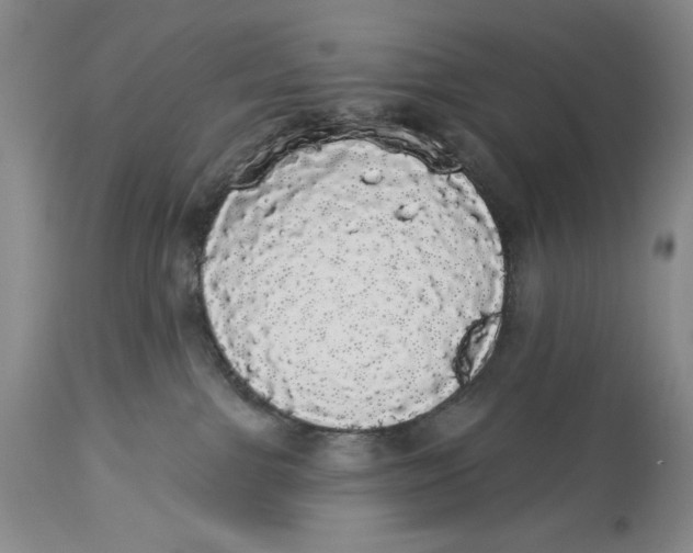 X0000113980091200910231717