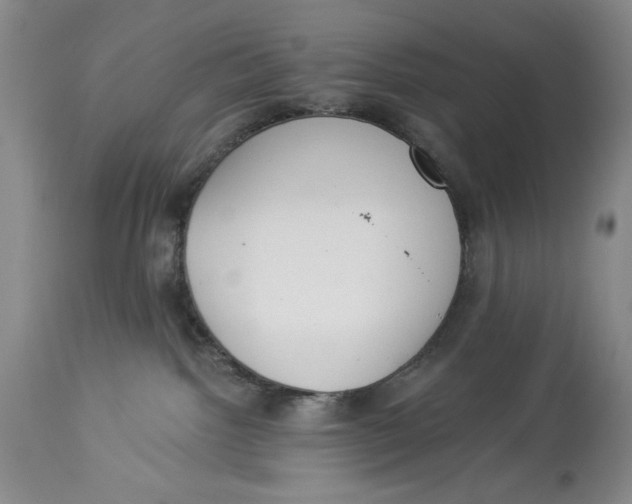 X0000113980092200910231717
