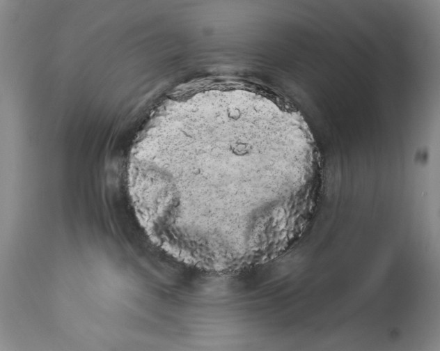 X0000113980093200910231717
