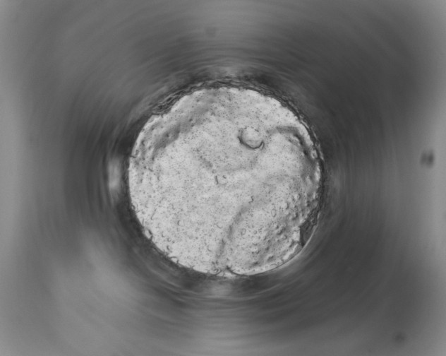 X0000113980094200910231717