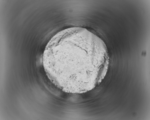 X0000113980095200910231717