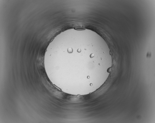 X0000113980096200910231717