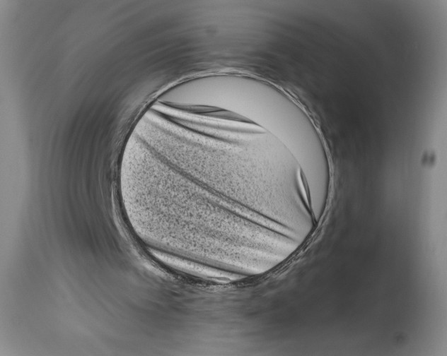 X0000113980097200910231717