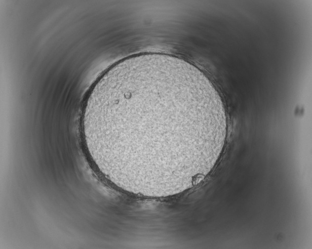 X0000113980098200910231717