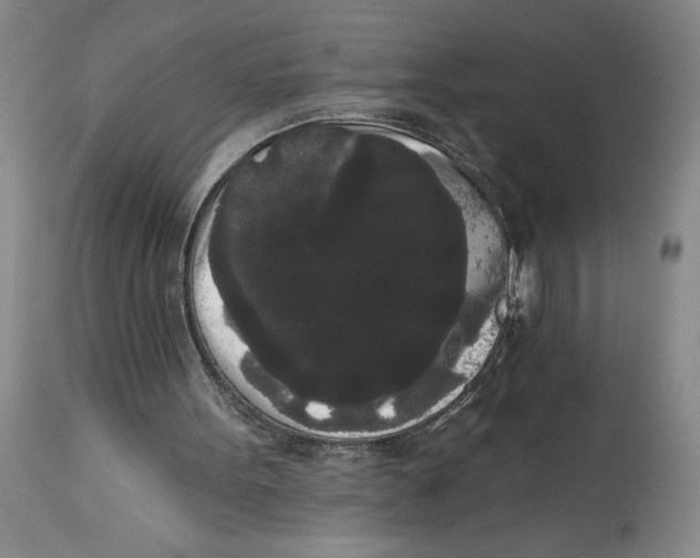 X0000113980099200910231717