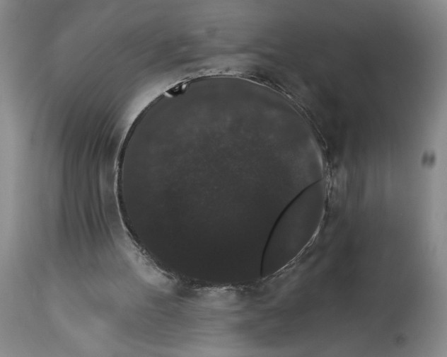 X0000113980100200910231717