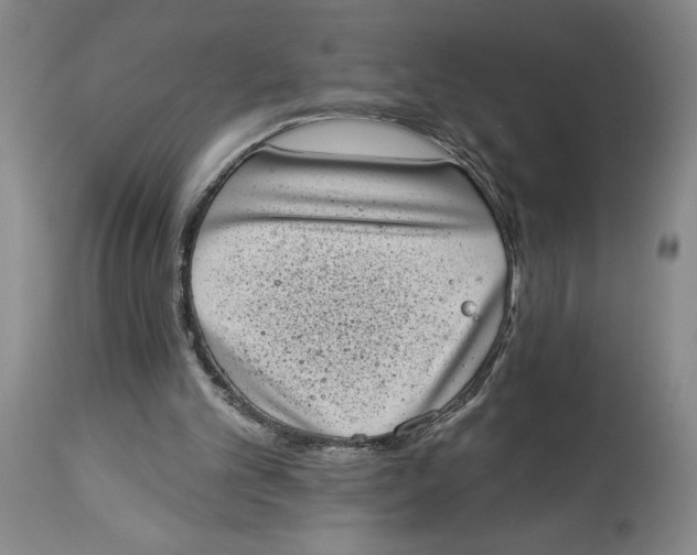 X0000113980101200910231717
