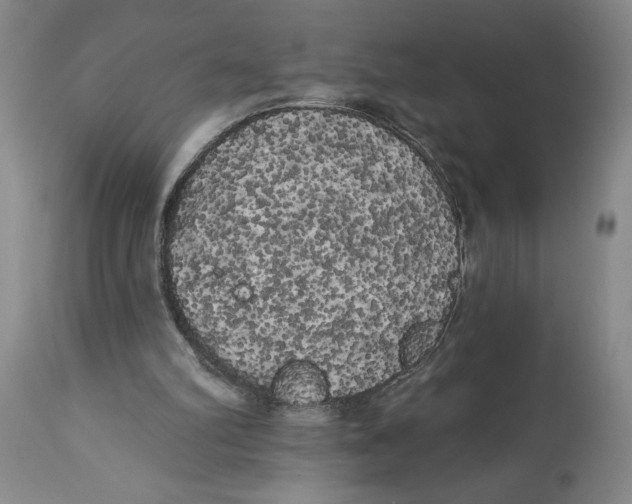 X0000113980102200910231717