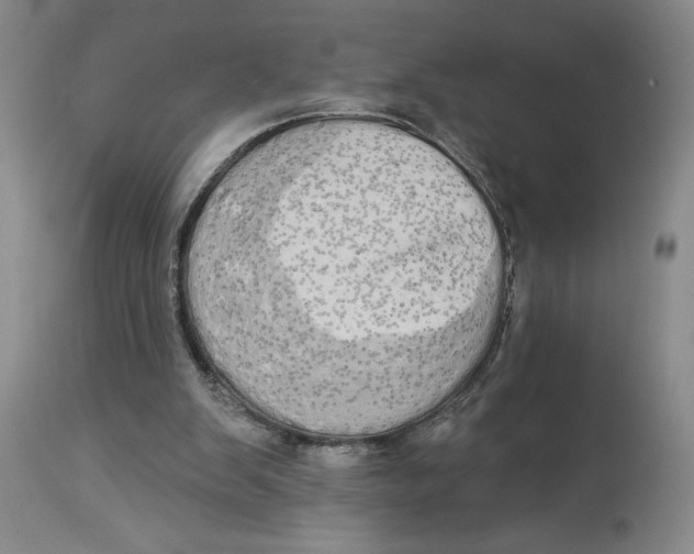 X0000113980103200910231717
