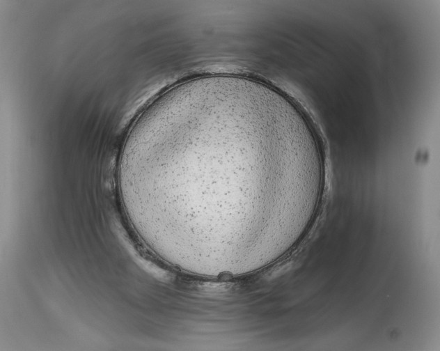 X0000113980105200910231717