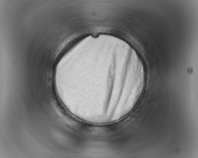 X0000113980107200910231717