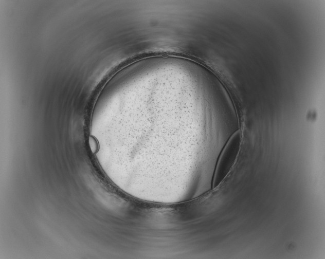 X0000113980108200910231717