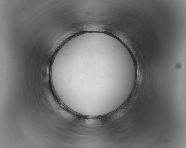 X0000113980109200910231716