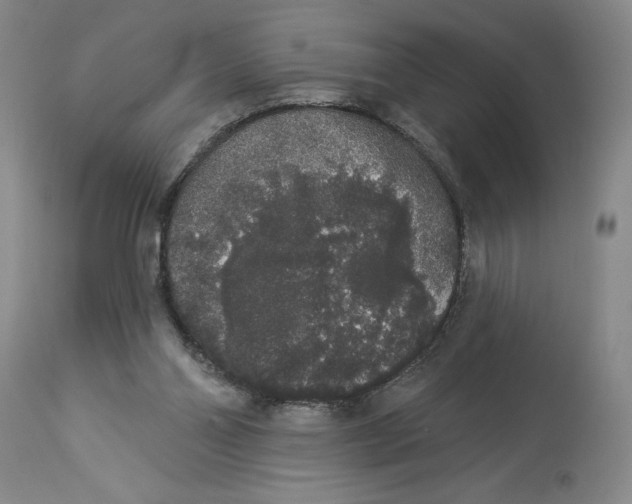 X0000113980110200910231716