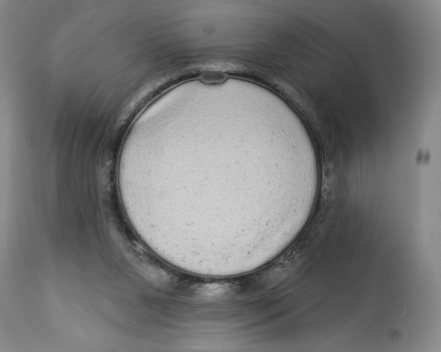X0000113980111200910231716