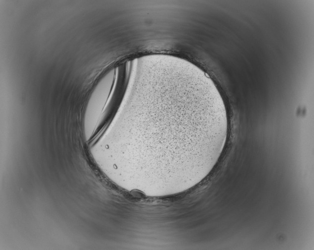 X0000113980113200910231716