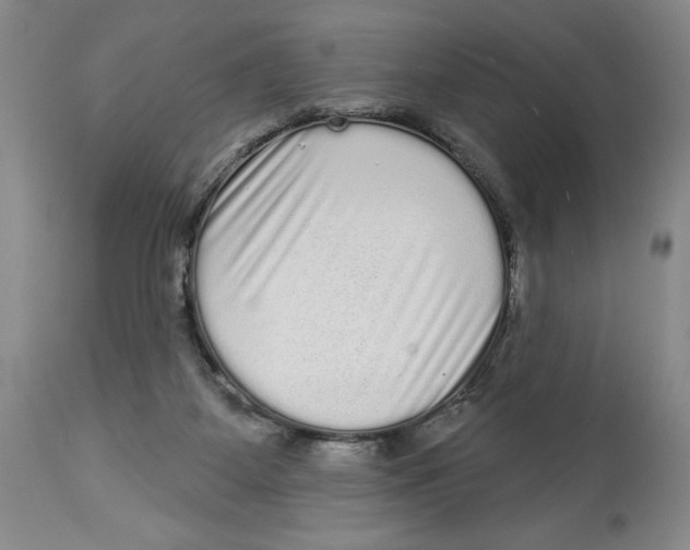 X0000113980115200910231716