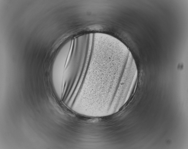 X0000113980116200910231716