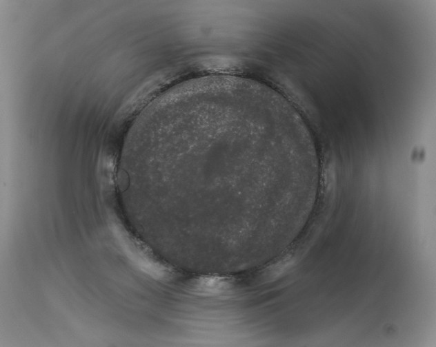 X0000113980117200910231716