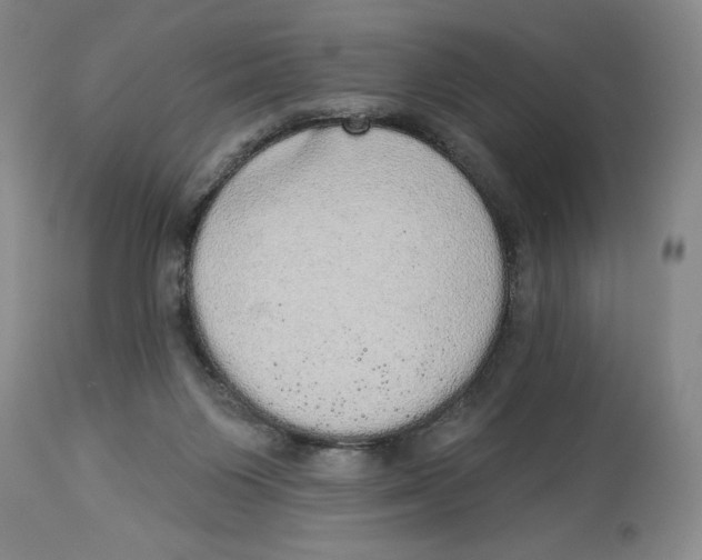 X0000113980119200910231716