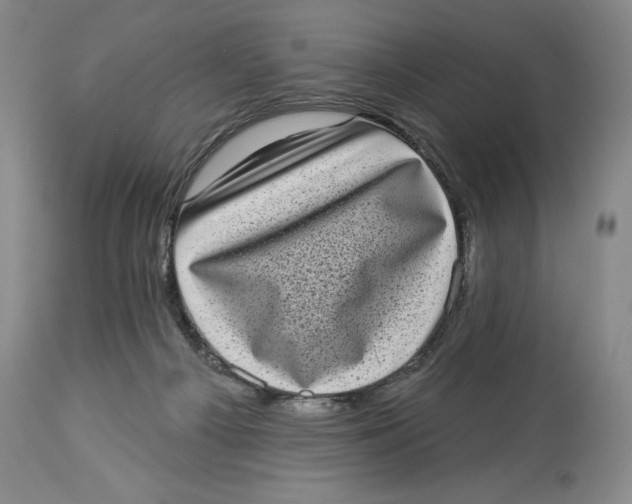 X0000113980121200910231716