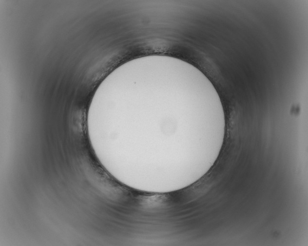 X0000113980122200910231716