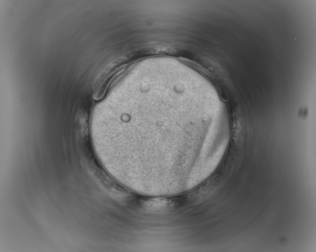 X0000113980123200910231716