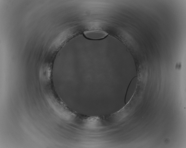 X0000113980124200910231716