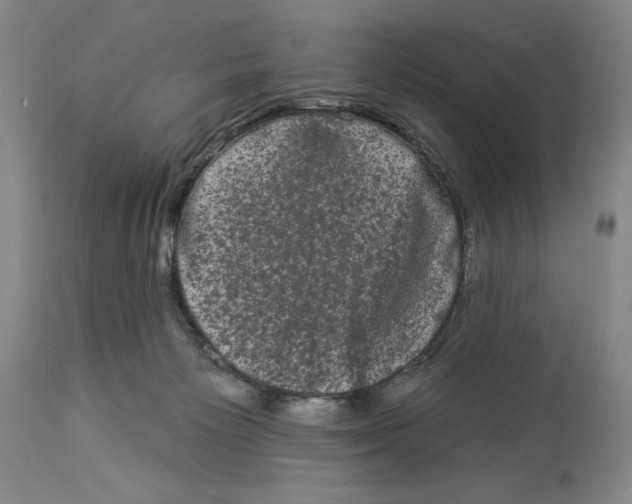 X0000113980125200910231716