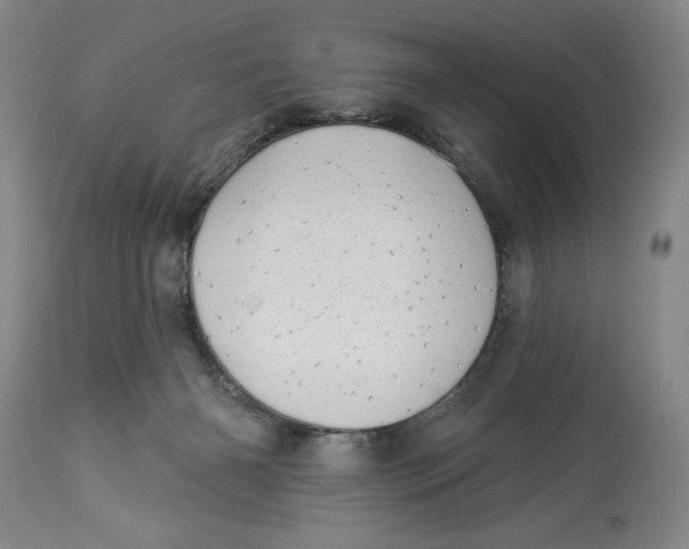 X0000113980126200910231716