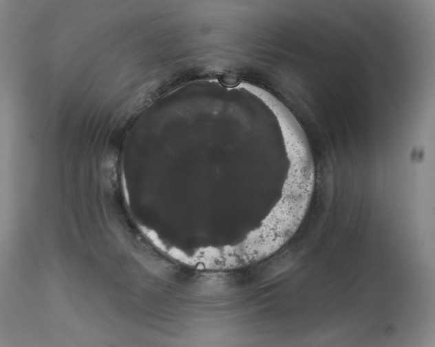 X0000113980127200910231716