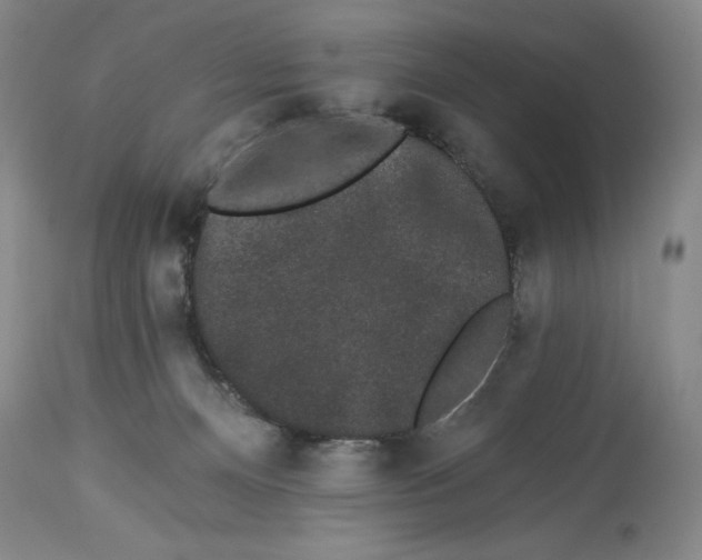 X0000113980128200910231716