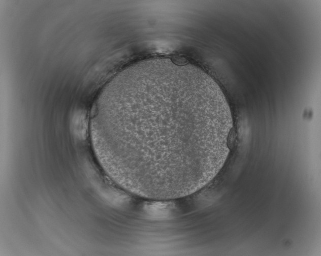 X0000113980129200910231716