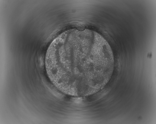 X0000113980131200910231716