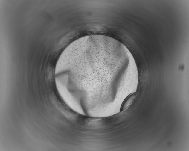 X0000113980132200910231716