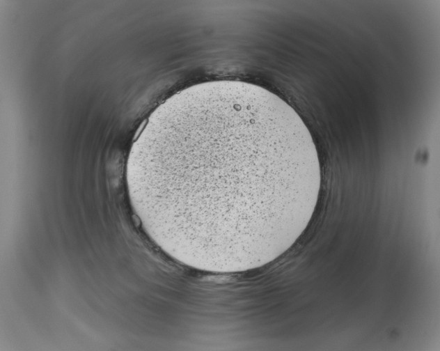 X0000113980133200910231716