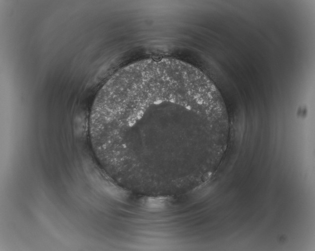 X0000113980134200910231716