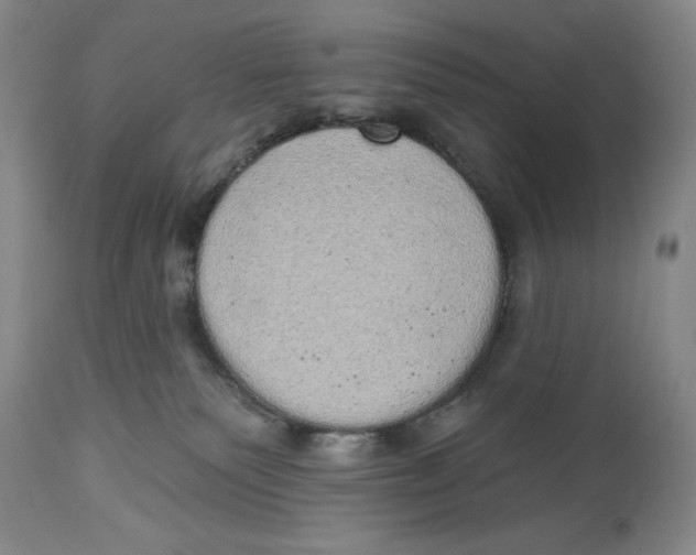 X0000113980135200910231716