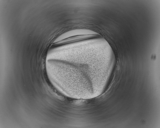 X0000113980136200910231716