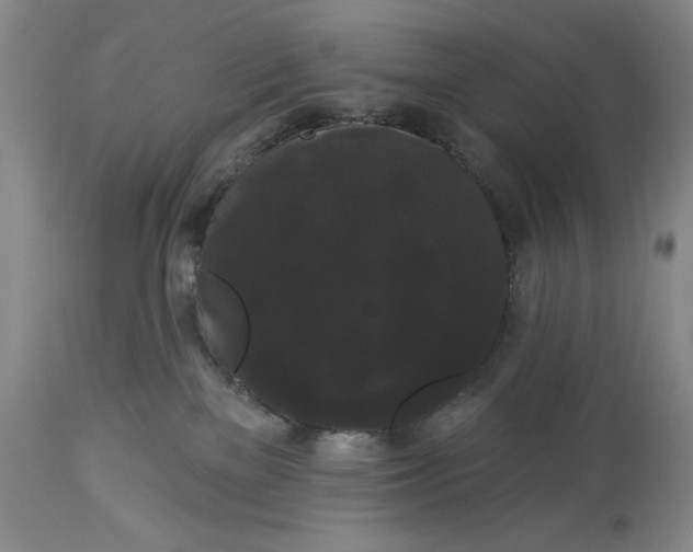 X0000113980137200910231716