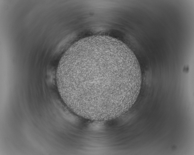 X0000113980138200910231716