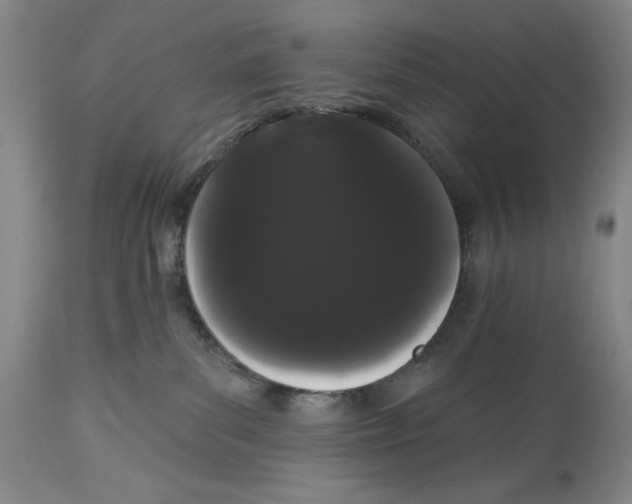 X0000113980139200910231716