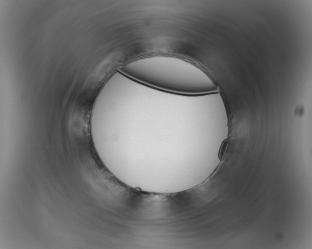 X0000113980140200910231716