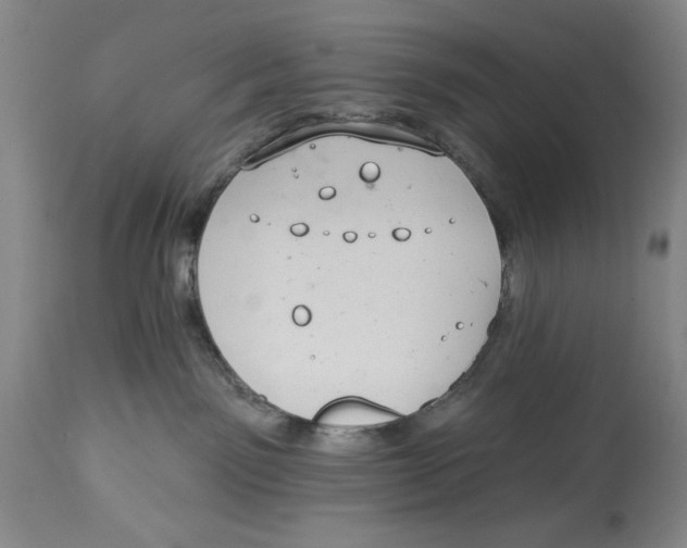 X0000113980141200910231716