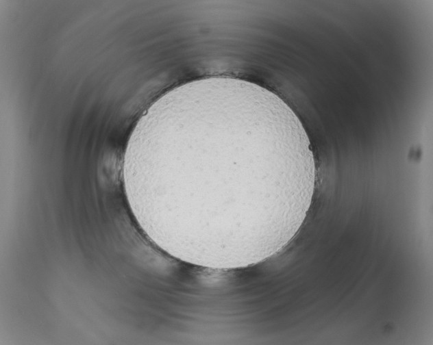 X0000113980142200910231716