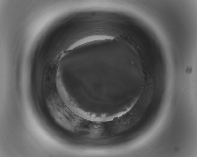 X0000113980143200910231716