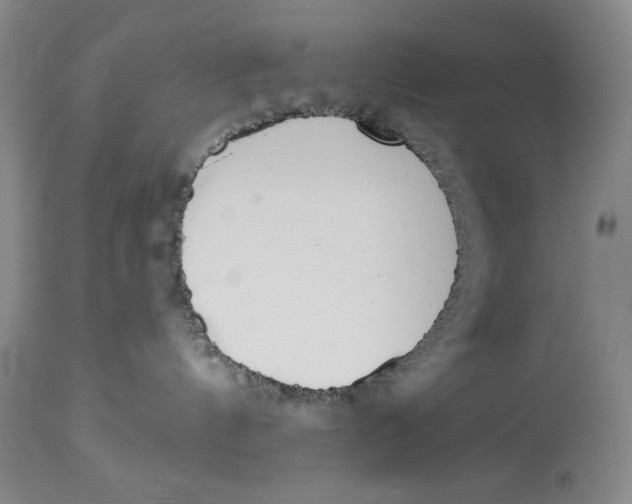 X0000113980144200910231716