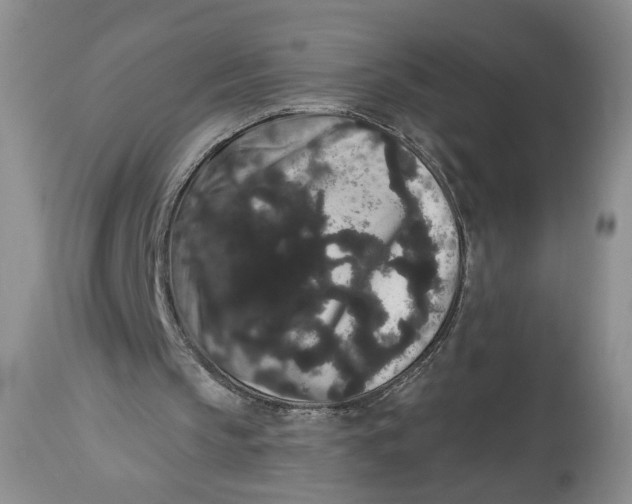 X0000113980145200910231715