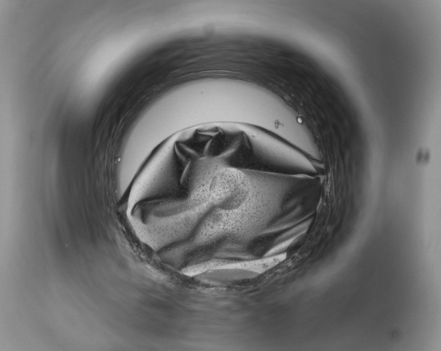 X0000113980146200910231715