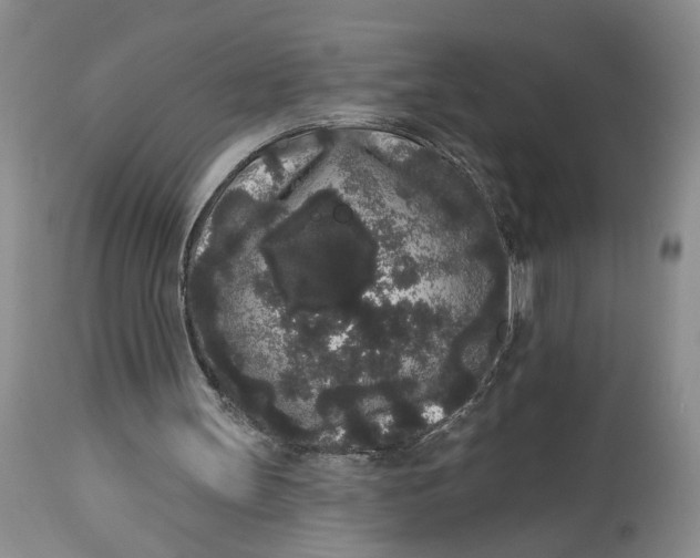X0000113980147200910231715